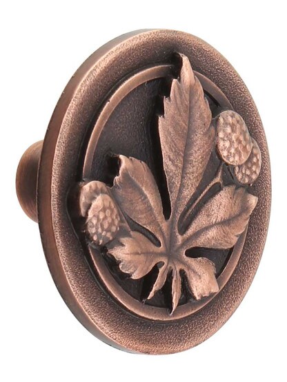 Horse Chestnut Cabinet Knob in Antique Copper.